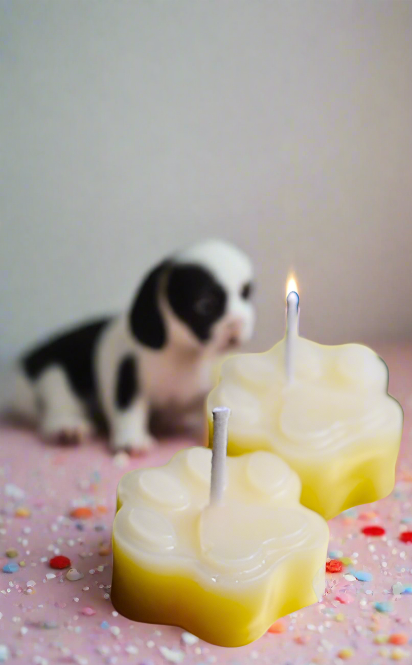 Handmade Paw candles